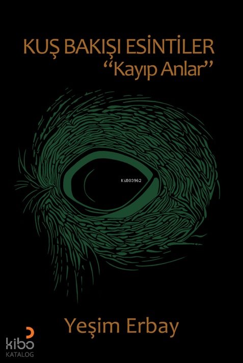 Kuş Bakışı Esintiler “Kayıp Anlar” - Yeşim Erbay