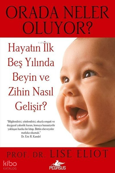 Orada Neler Oluyor