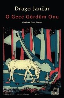 O Gece Gördüm Onu