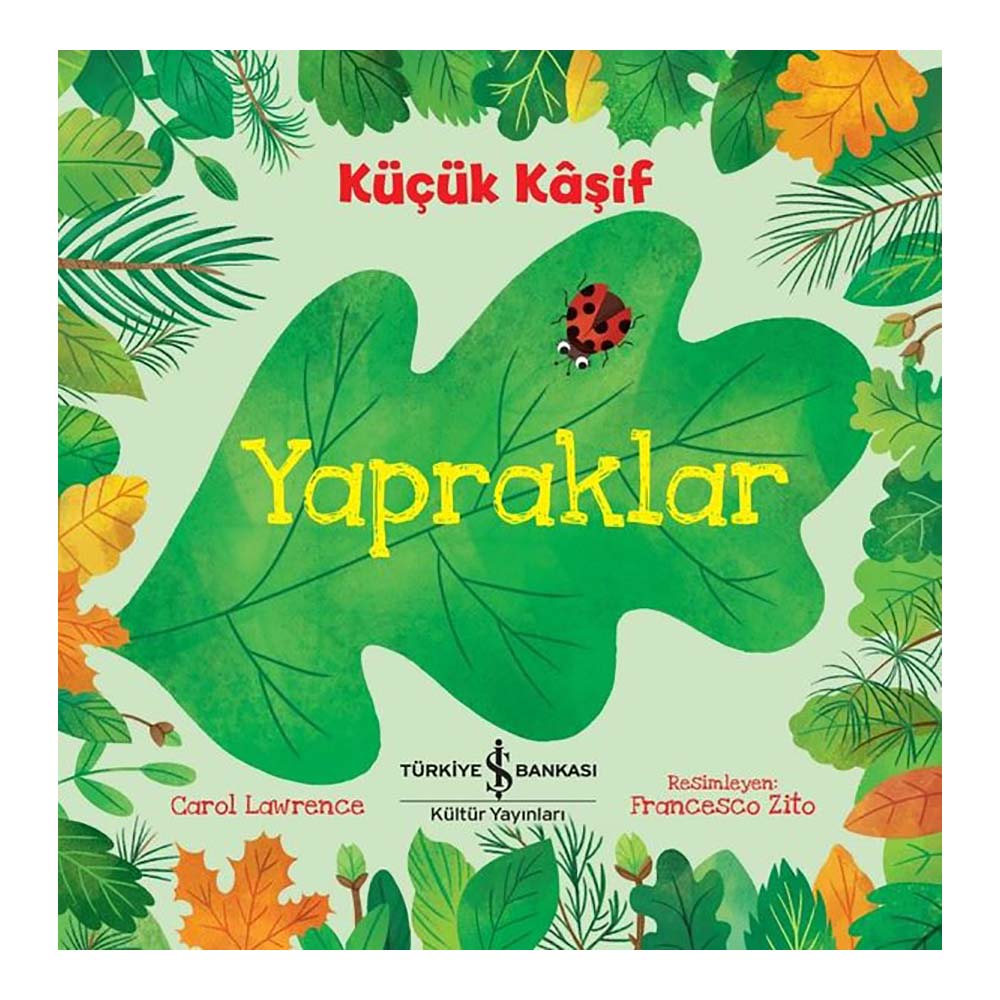 KÜÇÜK KAŞİF - YAPRAKLAR