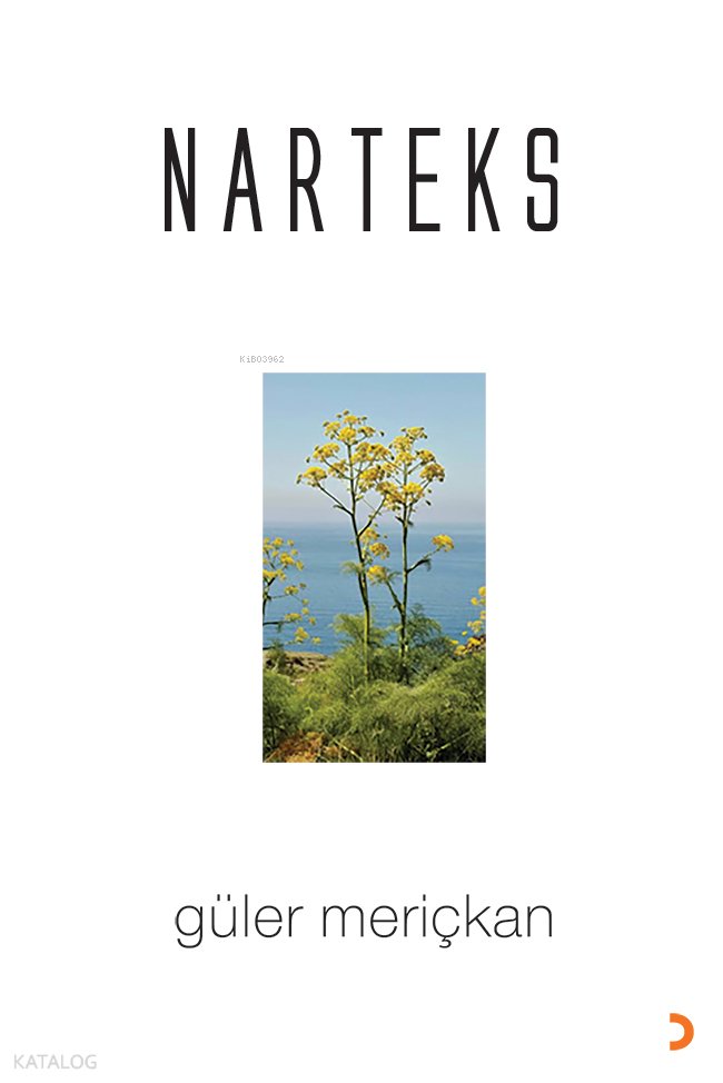 Narteks
