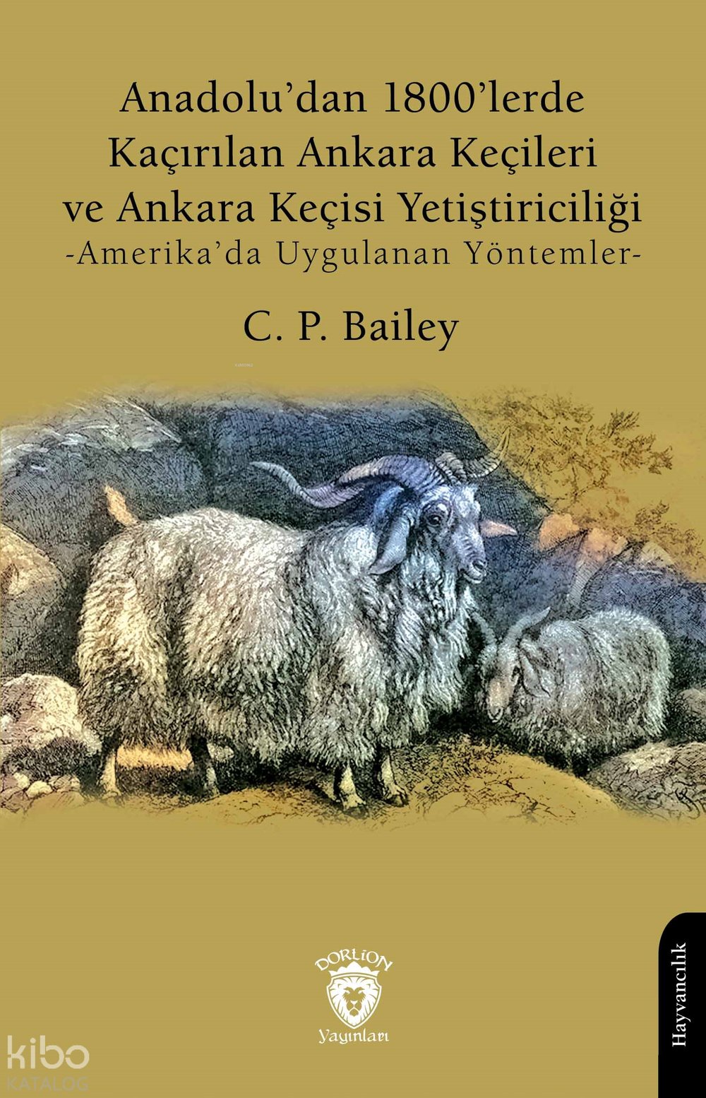 Anadolu’dan 1800’lerde Kaçırılan Ankara Keçileri ve Ankara Keçisi Yetiştiriciliği