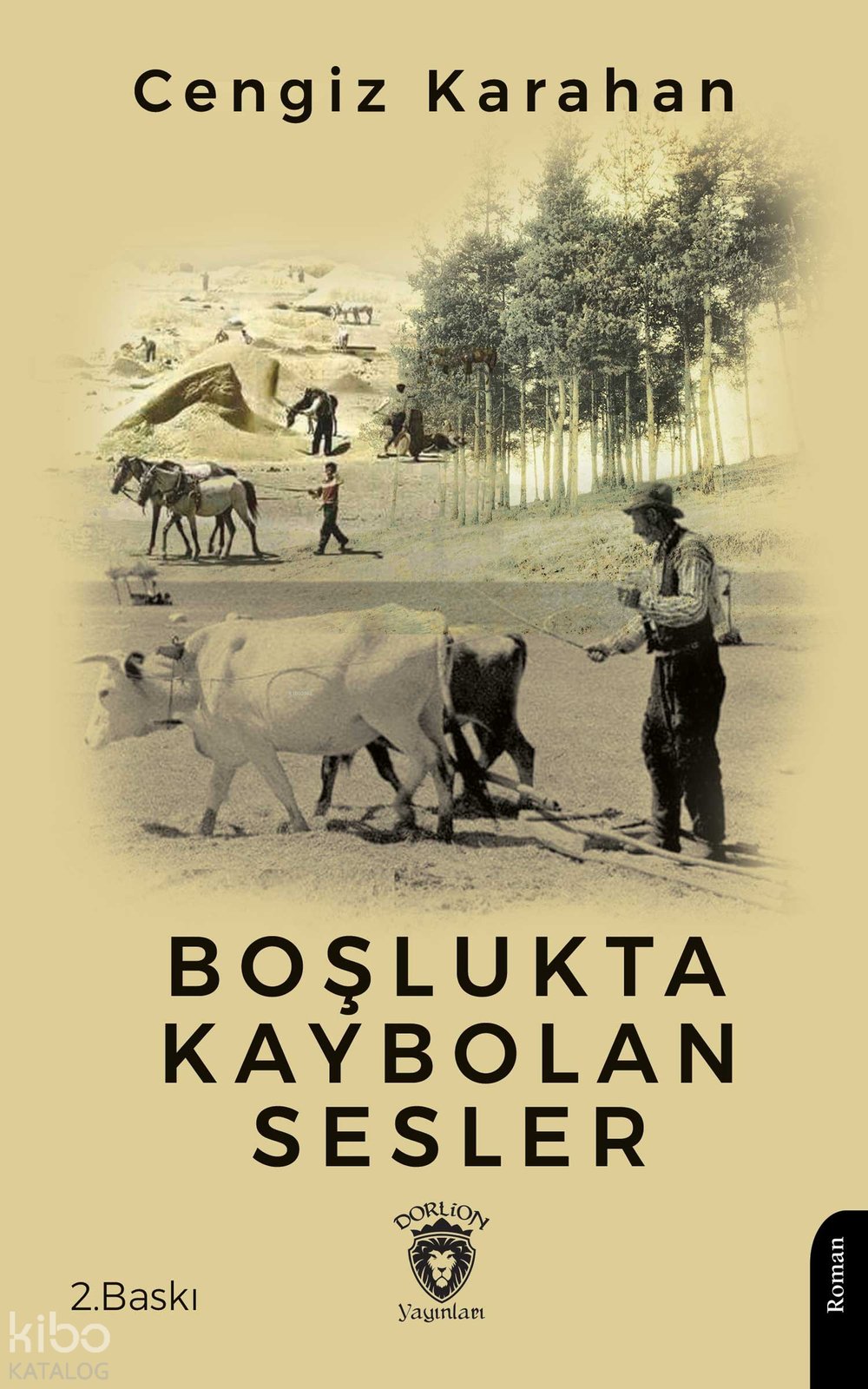 Boşlukta Kaybolan Sesler - Cengiz Karahan