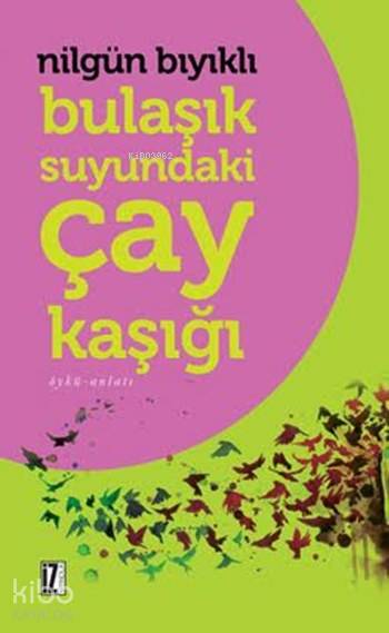 Bulaşık Suyundaki Çay Kaşığı - Nilgün Bıyıklı