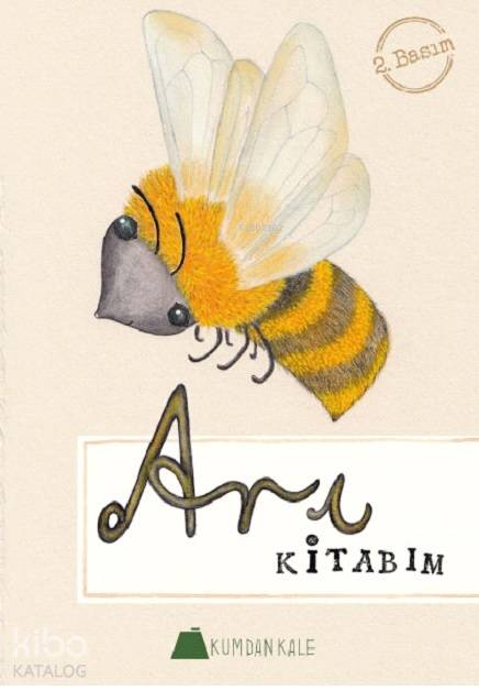 Arı Kitabım - Işıl Erverdi