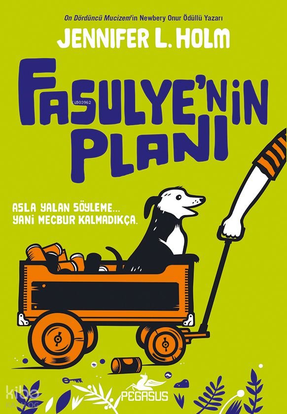 Fasulye'nin Planı - Jennifer L. Holm