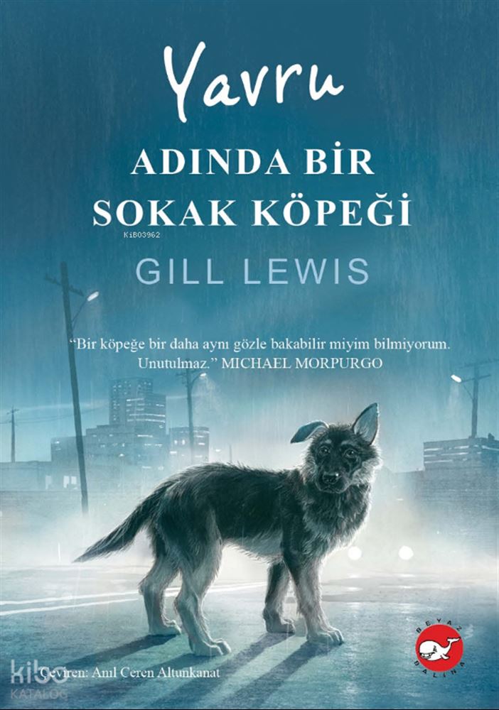 YAVRU ADINDA BİR SOKAK KÖPEĞİ