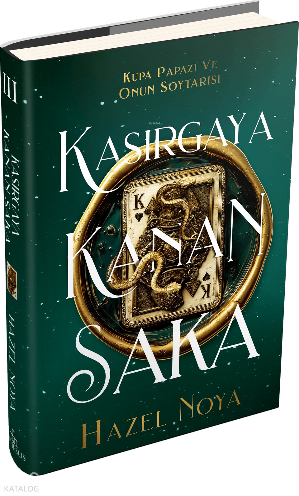Kasırgaya Kanan Saka 3 (Ciltli) - Hazel Noya