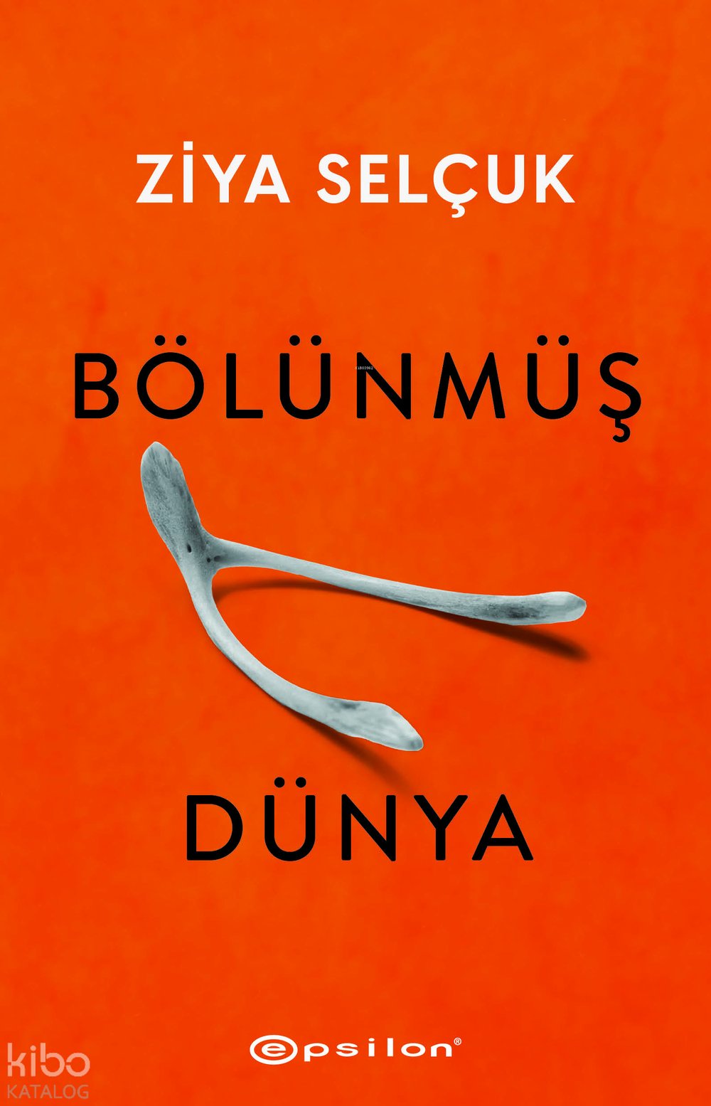 Bölünmüş Dünya - Ziya Selçuk