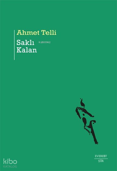 Saklı Kalan - Ahmet Telli