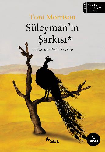 Süleyman'ın Şarkısı - Toni Morrison