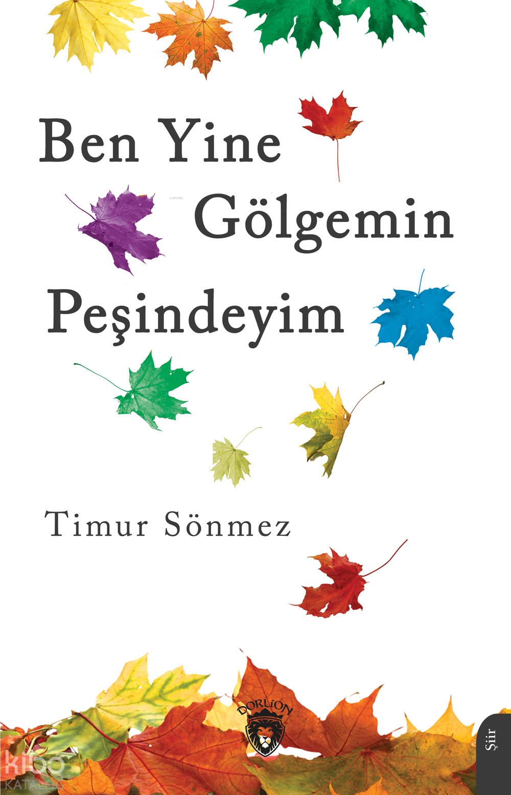 Ben Yine Gölgemin Peşindeyim - Timur Sönmez