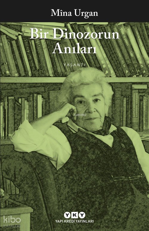 Bir Dinozorun Anıları