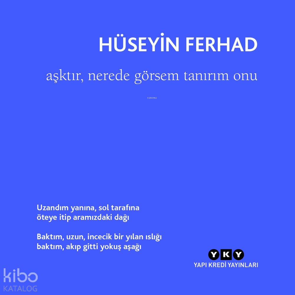 Aşktır, Nerede Görsem Tanırım Onu