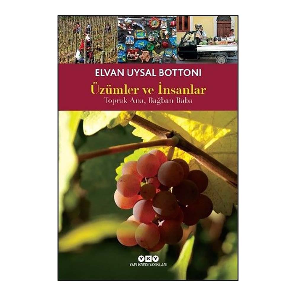 ÜZÜMLER VE İNSANLAR