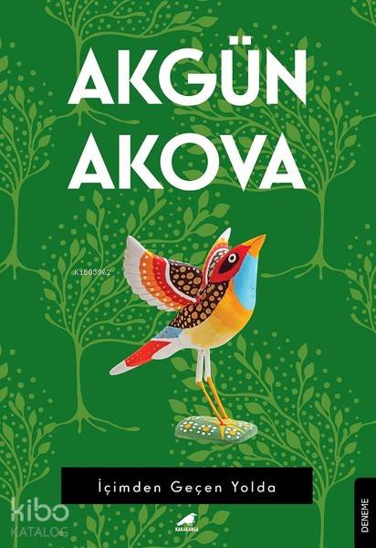 İçimden Geçen Yolda - Akgün Akova