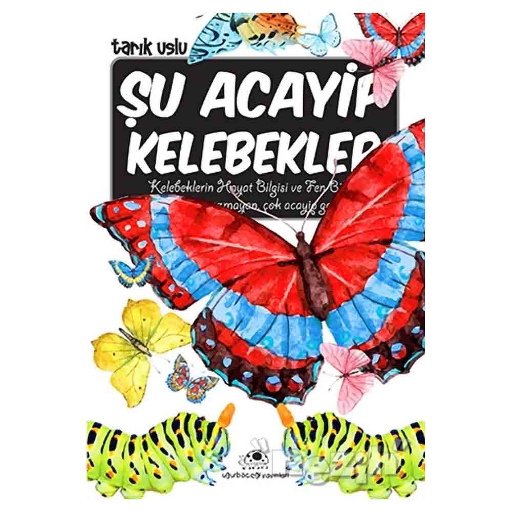 ŞU ACAYİP KELEBEKLER