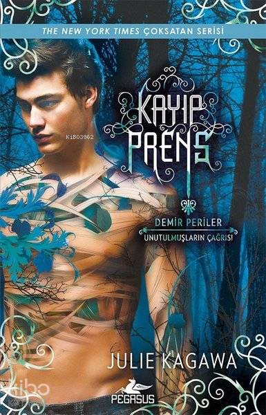 Kayıp Prens - Demir Periler - Julie Kagawa