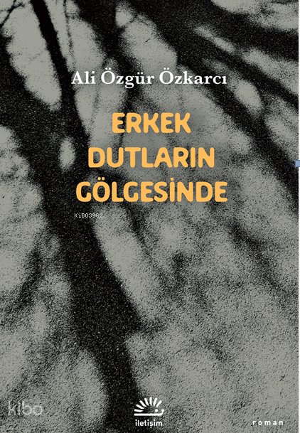 Erkek Dutların Gölgesinde - Ali Özgür Özkarcı