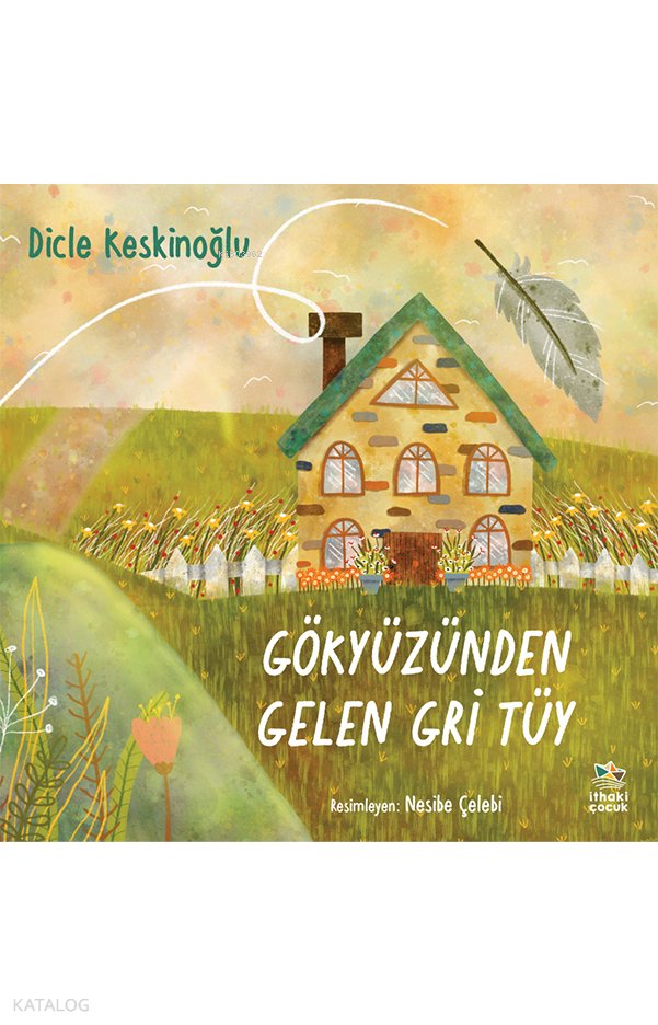 Gökyüzünden Gelen Gri Tüy - Dicle Keskinoğlu