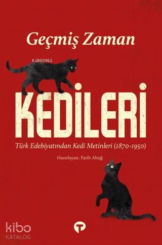 Geçmiş Zaman Kedileri