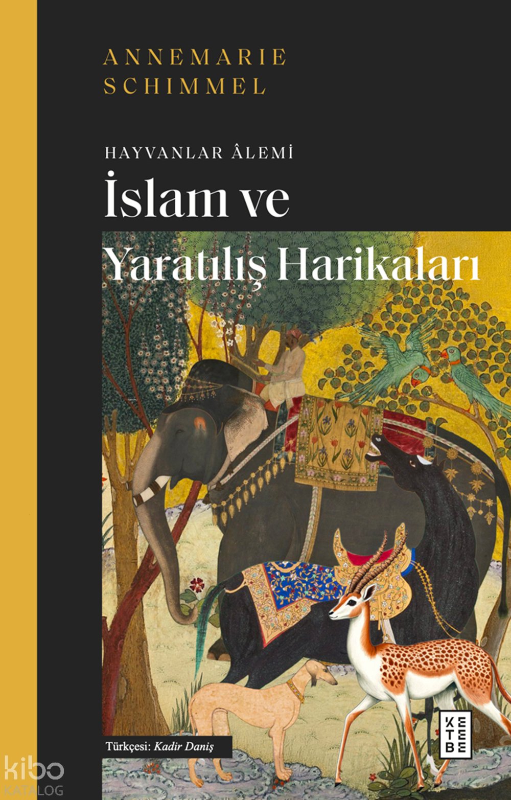 İslam ve Yaratılış Harikaları