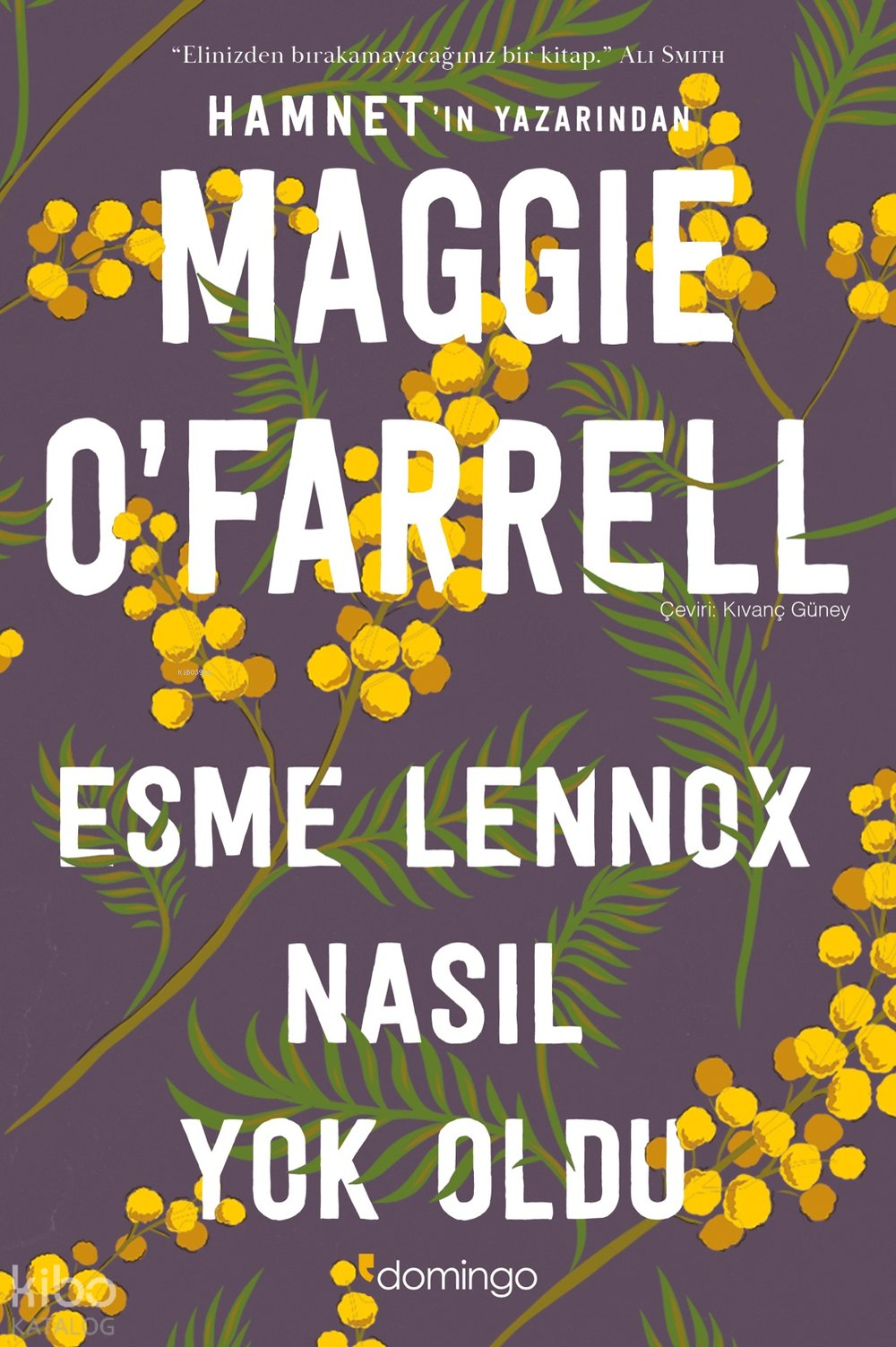 Esme Lennox Nasıl Yok Oldu - Maggie O'Farrell