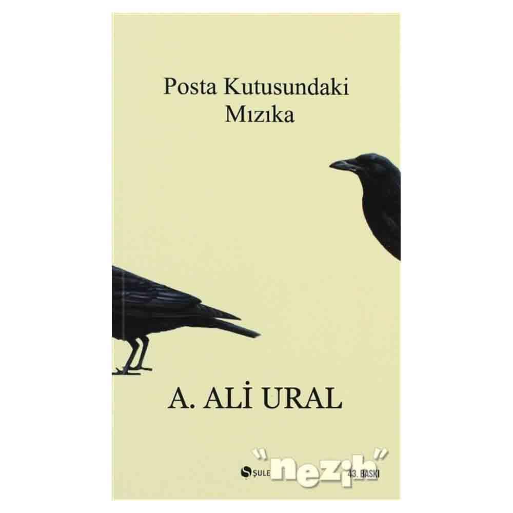 POSTA KUTUSUNDAKİ MIZIKA
