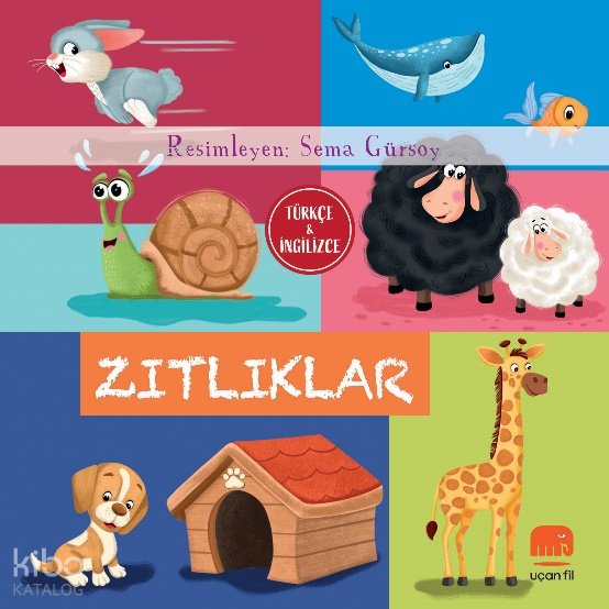 Zıtlıklar - Sema Gürsoy