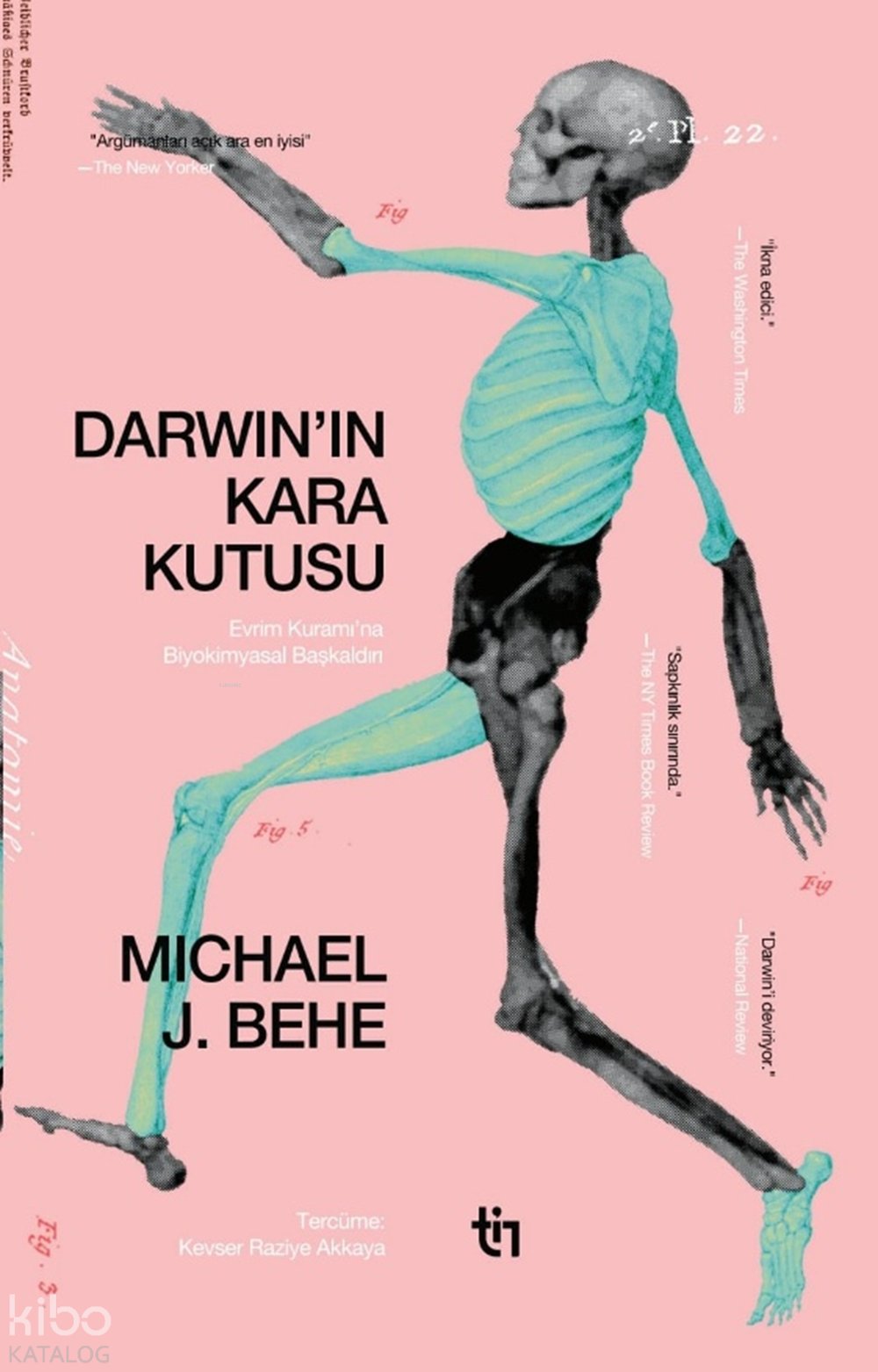 Darwin'in Kara Kutusu